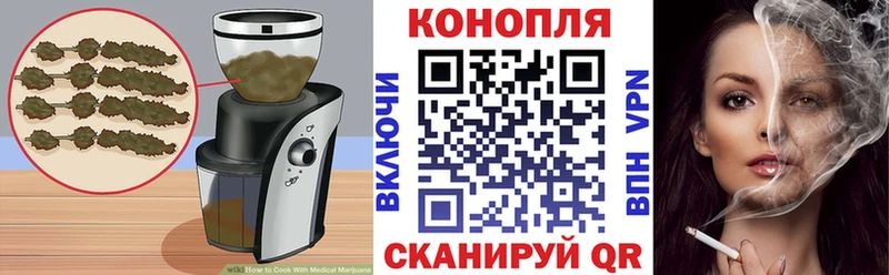 Купить закладки  Теберда  Cannafood конопля 