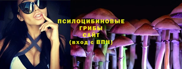 героин Алексин