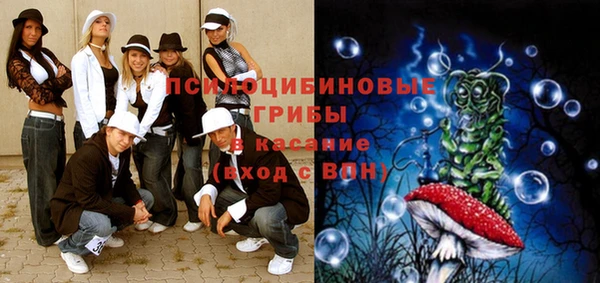 прущая мука Аркадак
