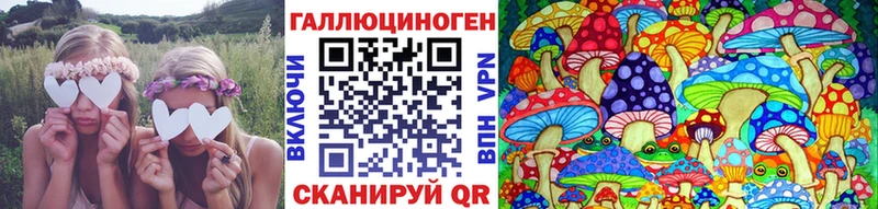 Купить где  Теберда  Галлюциногенные грибы MAGIC MUSHROOMS 